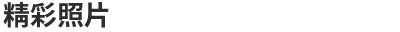精彩照片